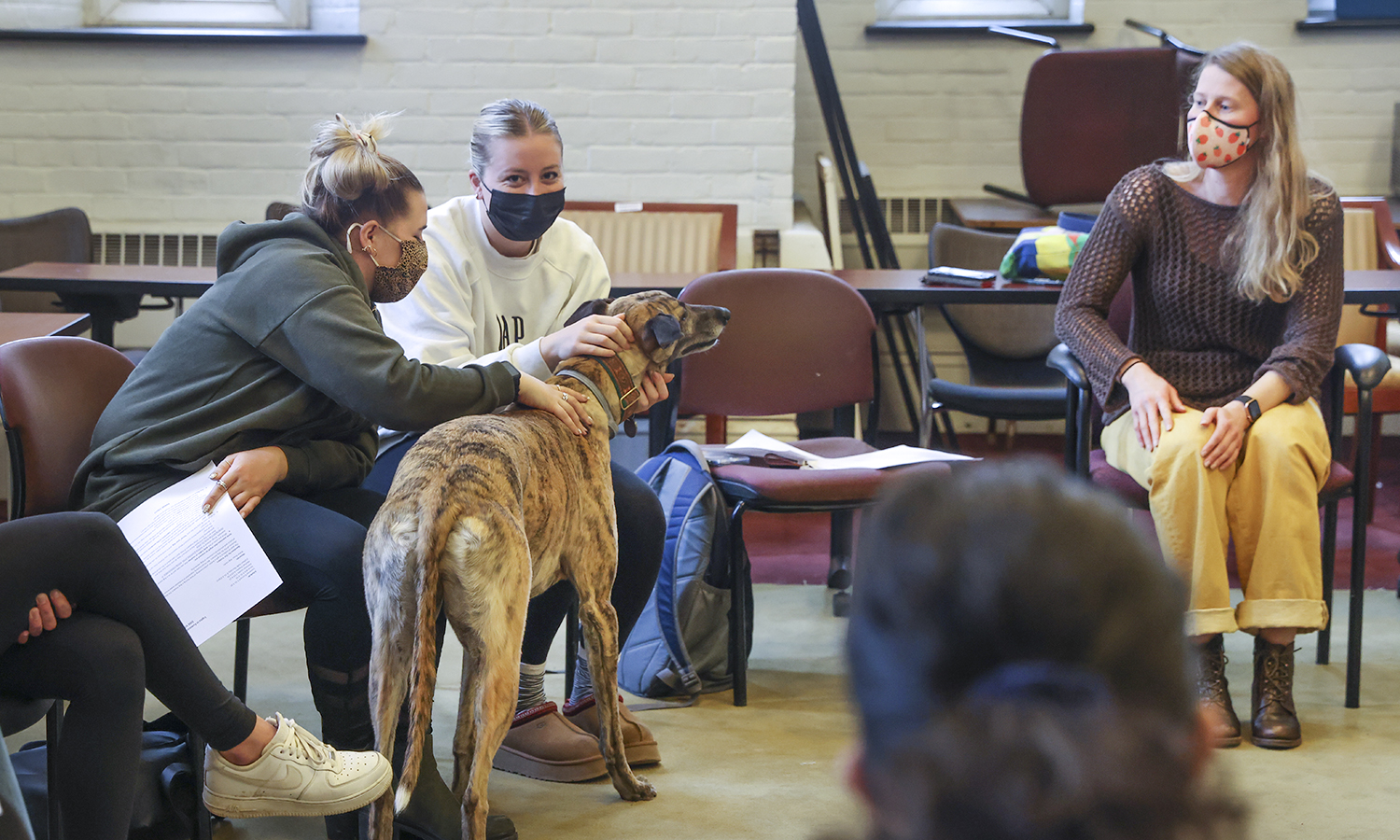 Princeton Review Ranks HWS Faculty Best In Nation Environmental 